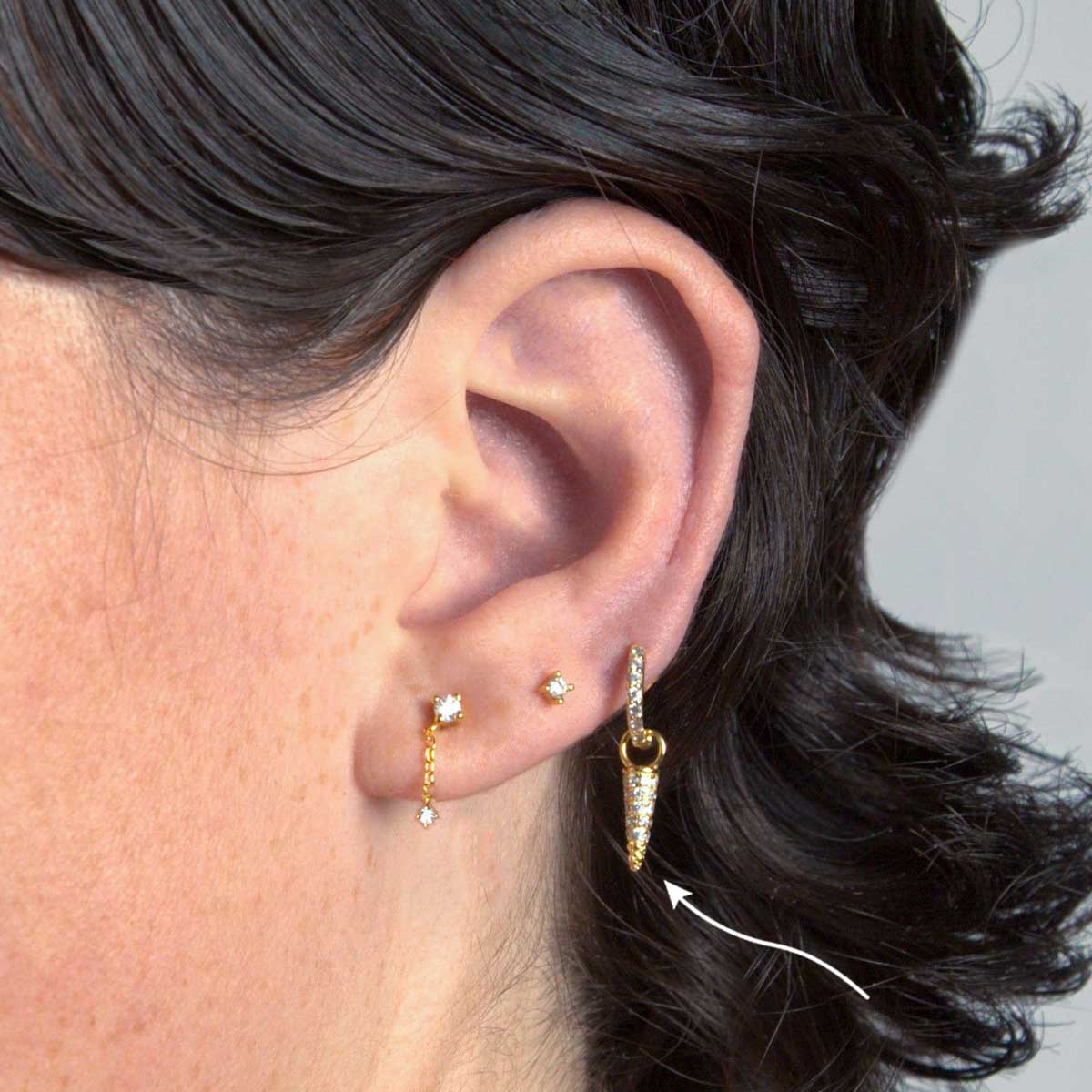 Tiger Tooth Earring Charm