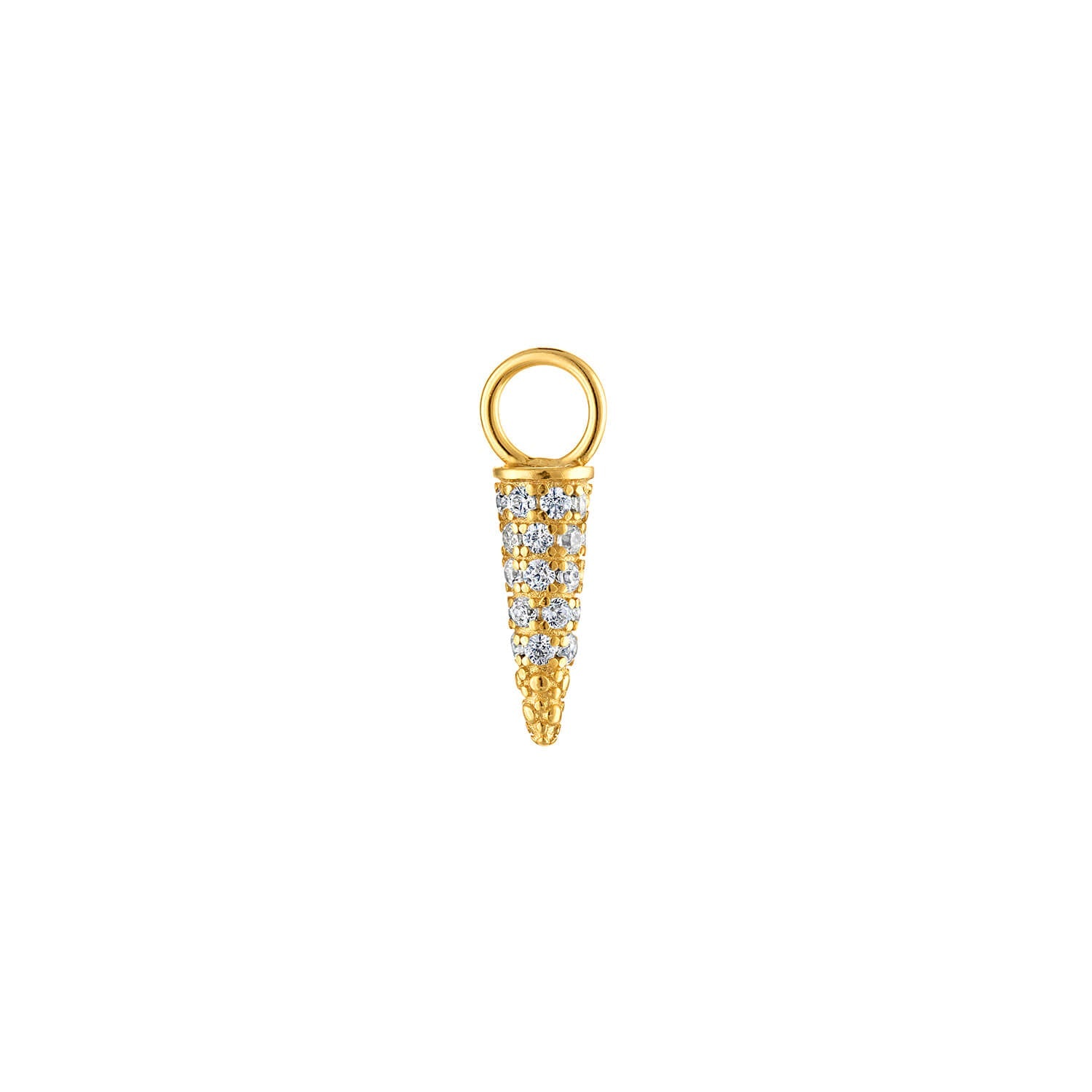Tiger Tooth Earring Charm